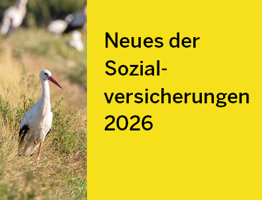 Neues Der SV 26